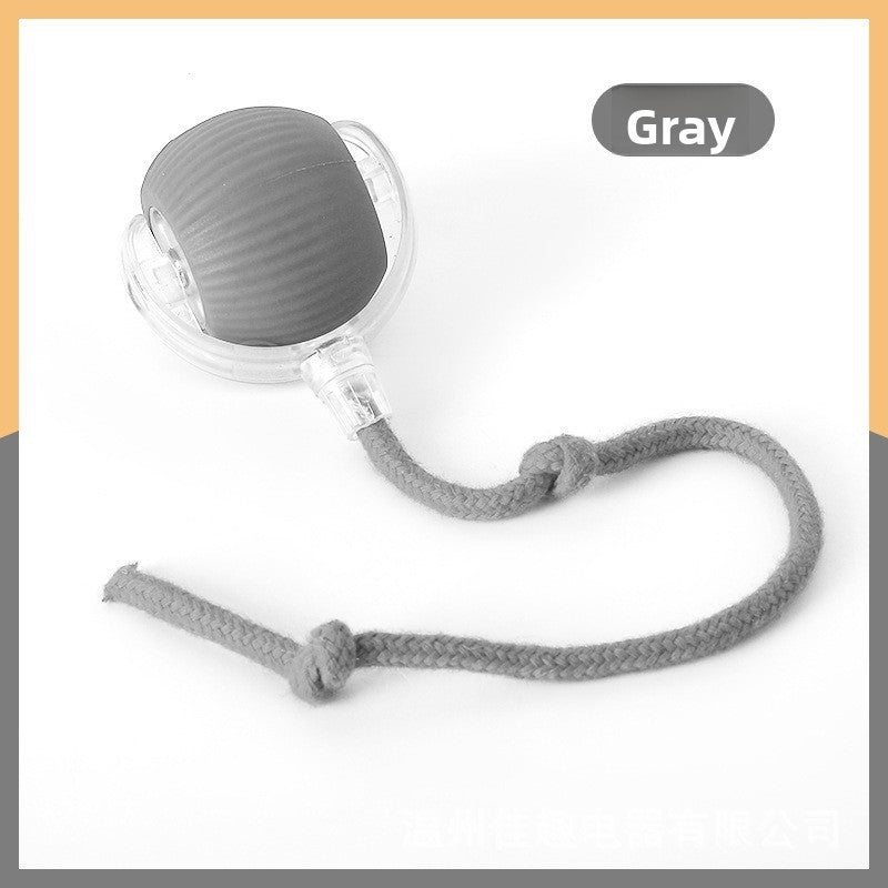 Automatic Dog Walking Ball