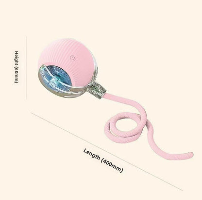 Automatic Dog Walking Ball